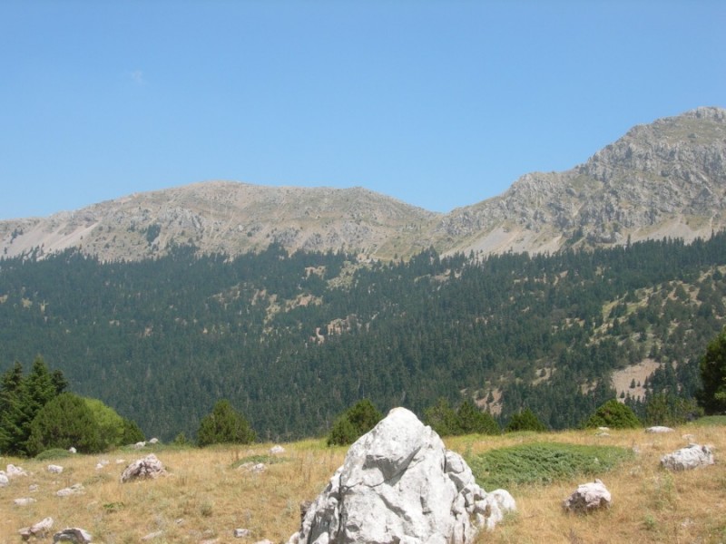 DSCN7330.jpg