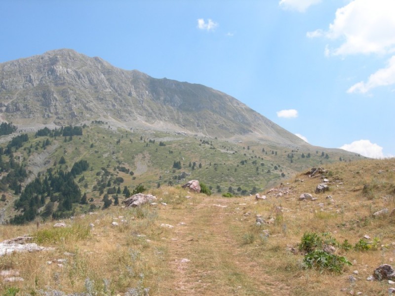DSCN7331.jpg