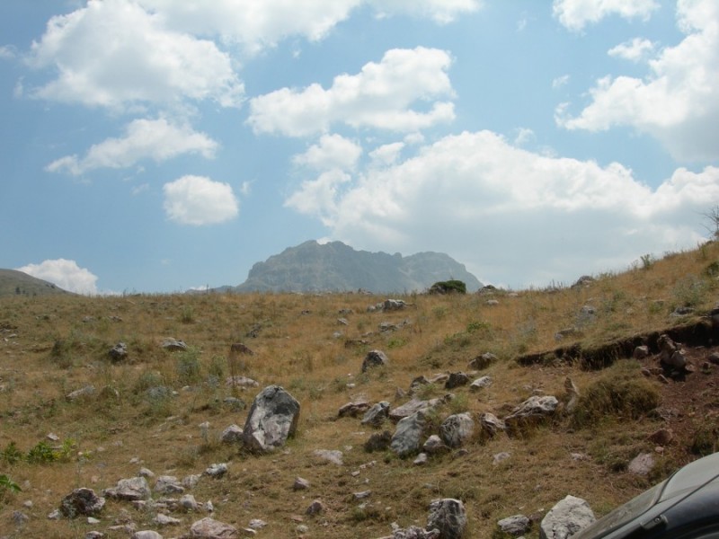 DSCN7332.jpg