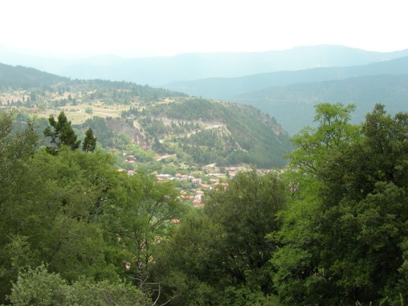 DSCN7337.jpg