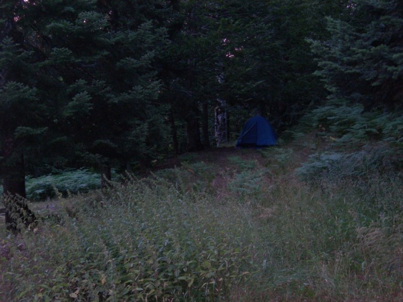 DSCN7347.jpg