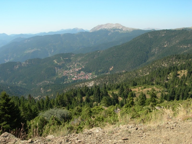 DSCN7354.jpg