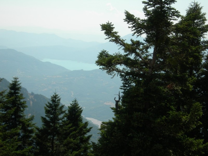 DSCN7361.jpg