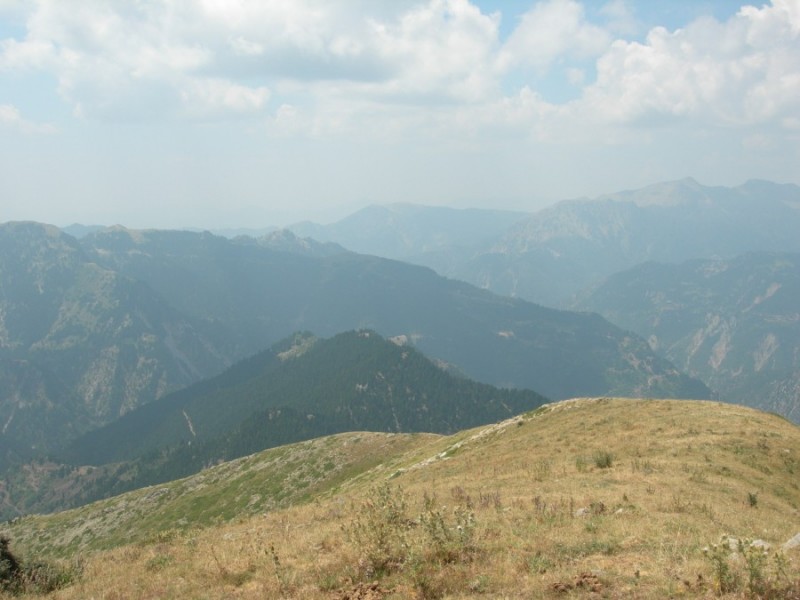 DSCN7378.jpg