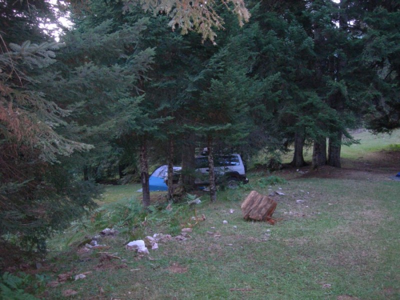 DSCN7391.jpg