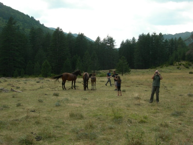 DSCN7405.jpg