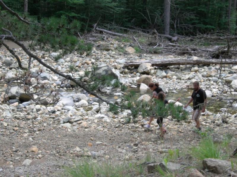 DSCN7408.jpg