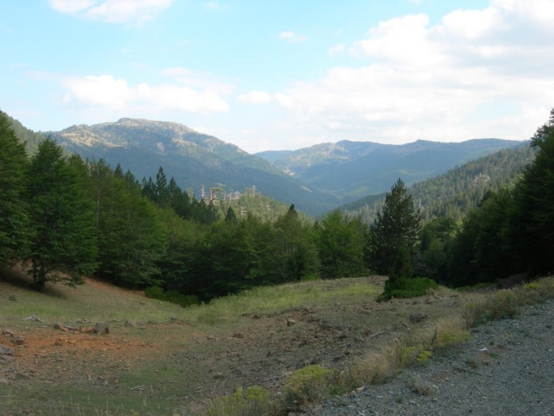 DSCN7410.jpg