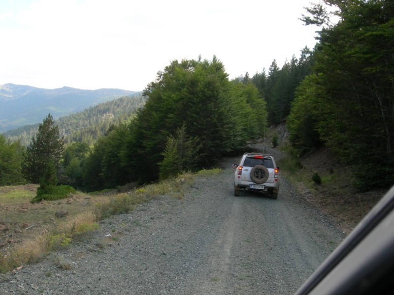 DSCN7411.jpg