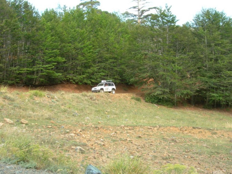 DSCN7412.jpg
