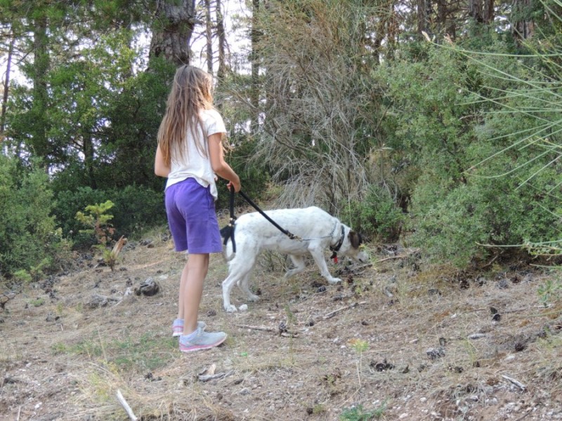 DSCN1042.jpg