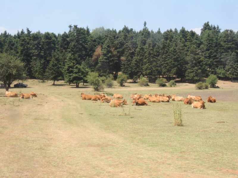 DSCN1053.jpg