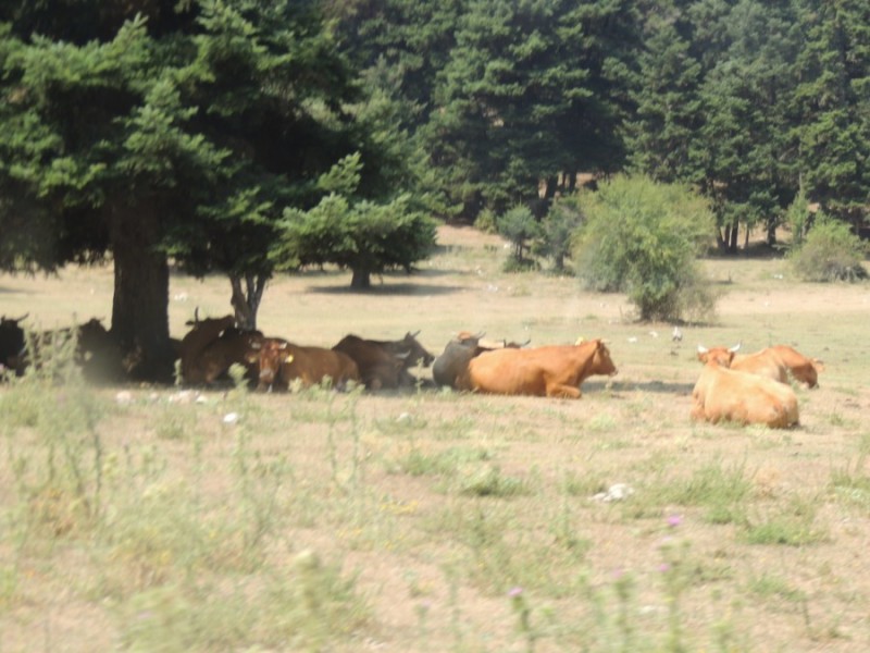 DSCN1054.jpg