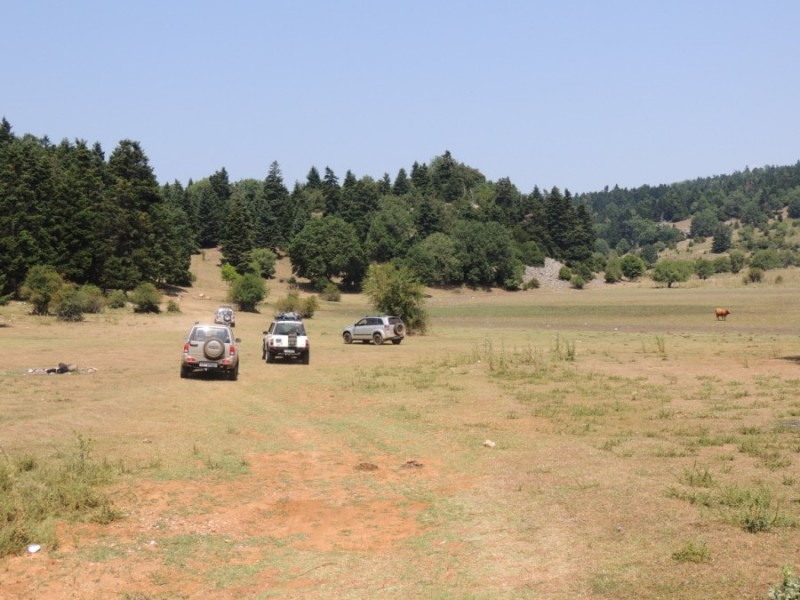 DSCN1062.jpg