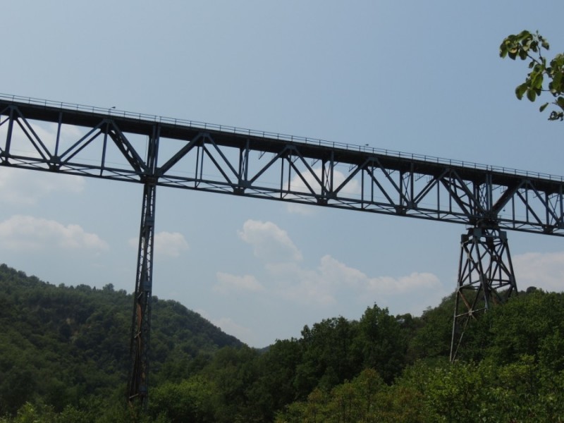 DSCN1067.jpg