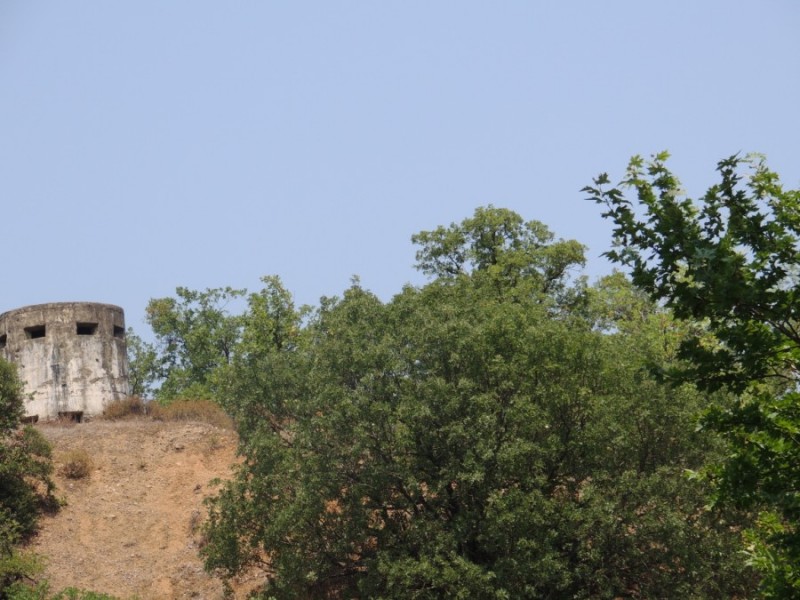 DSCN1073.jpg