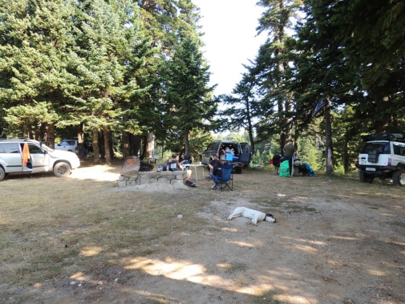 DSCN1077.jpg