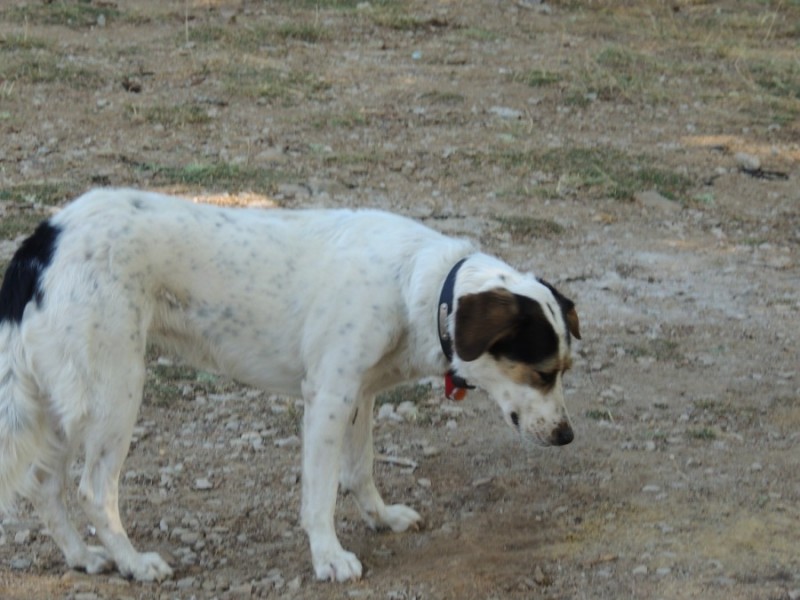 DSCN1080.jpg
