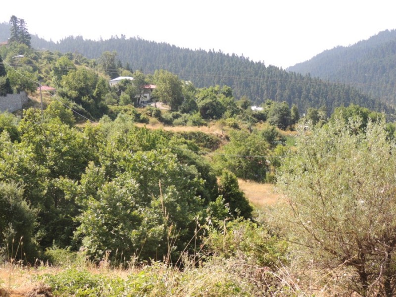 DSCN1102.jpg