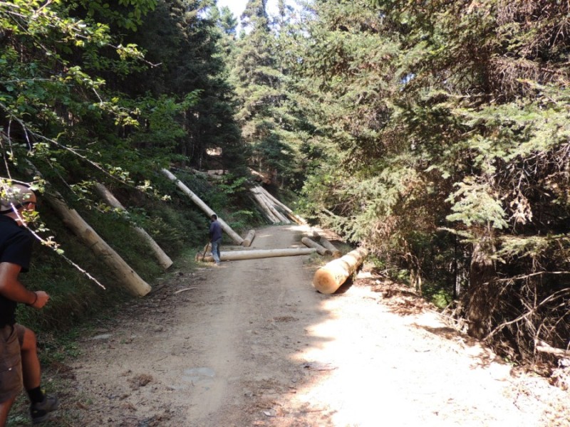DSCN1122.jpg