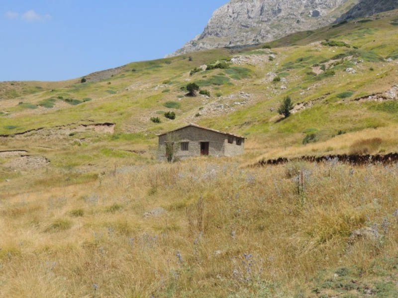 DSCN1142.jpg