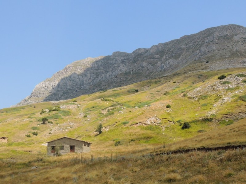 DSCN1157.jpg