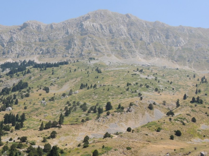 DSCN1164.jpg