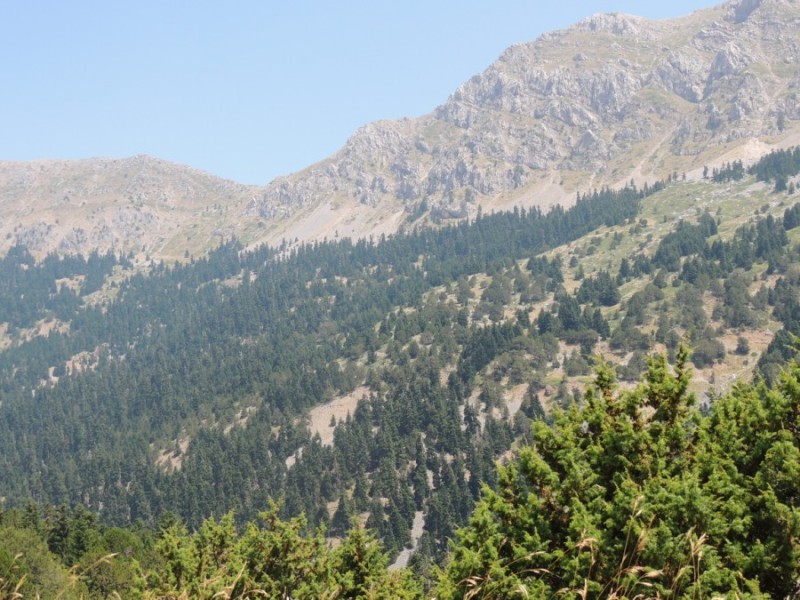 DSCN1167.jpg