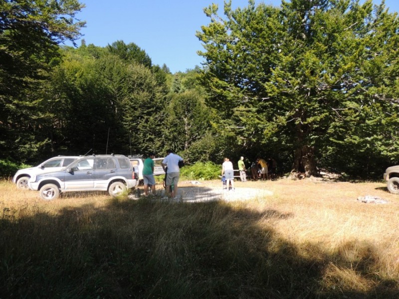 DSCN1195.jpg
