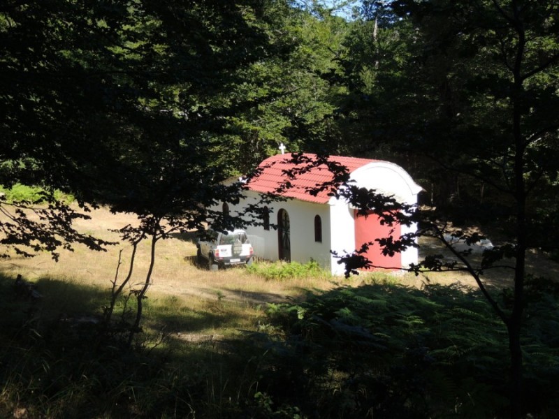 DSCN1201.jpg