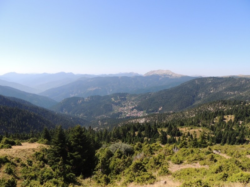 DSCN1206.jpg