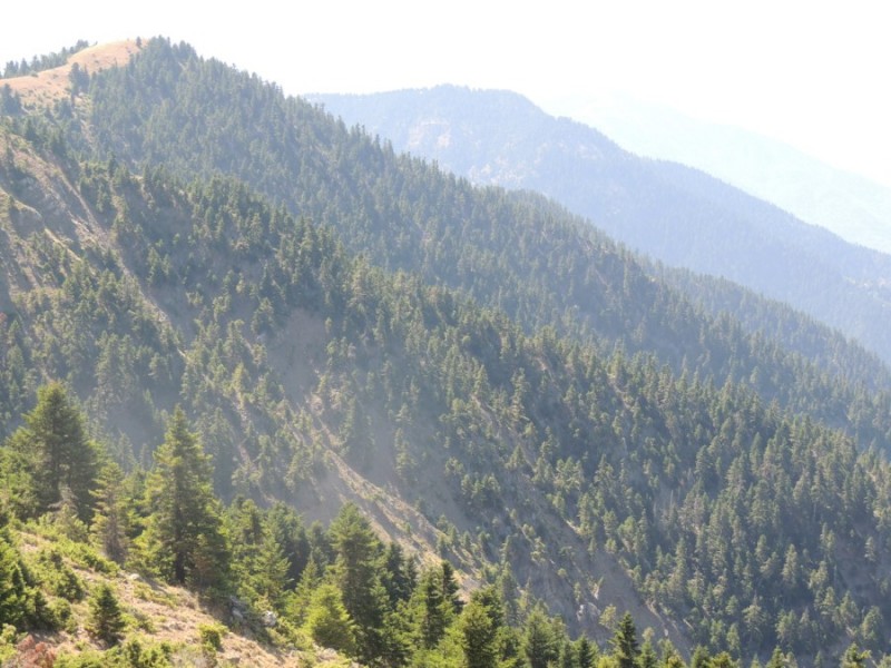 DSCN1208.jpg