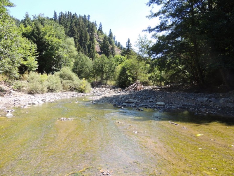 DSCN1214.jpg