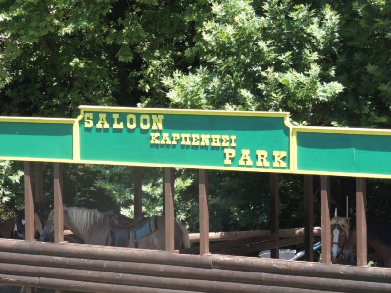 DSCN1221.jpg