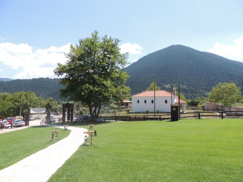 DSCN1229.jpg