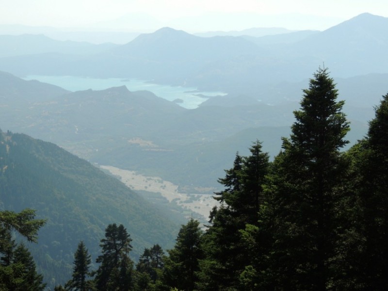DSCN1233.jpg
