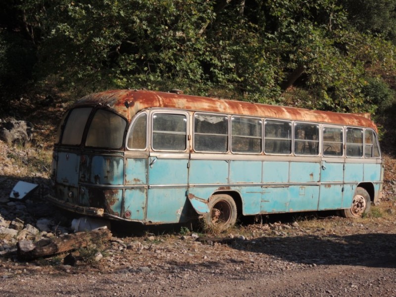 DSCN1239.jpg