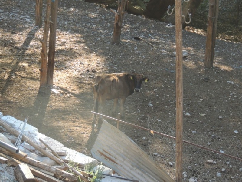 DSCN1242.jpg