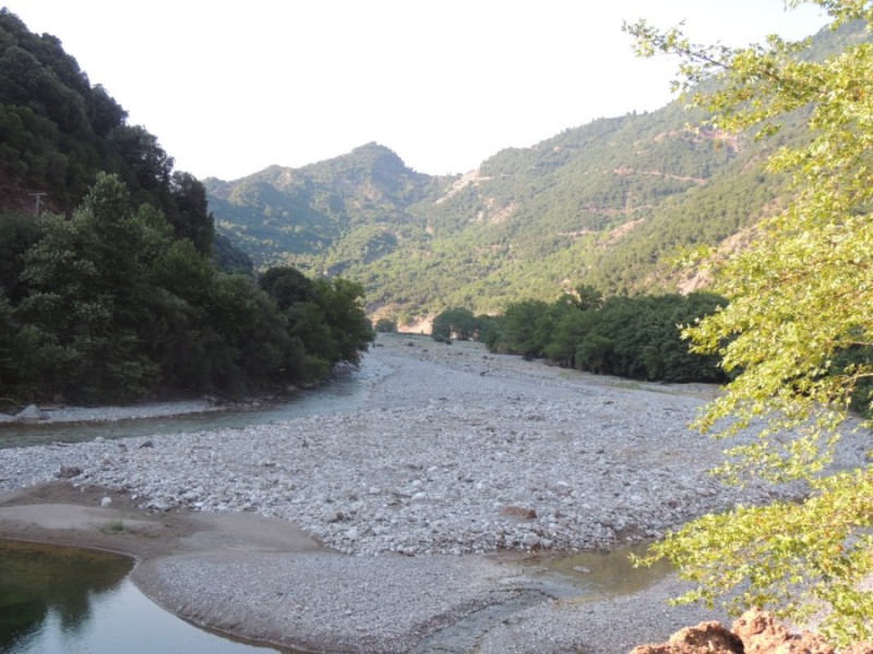 DSCN1247.jpg
