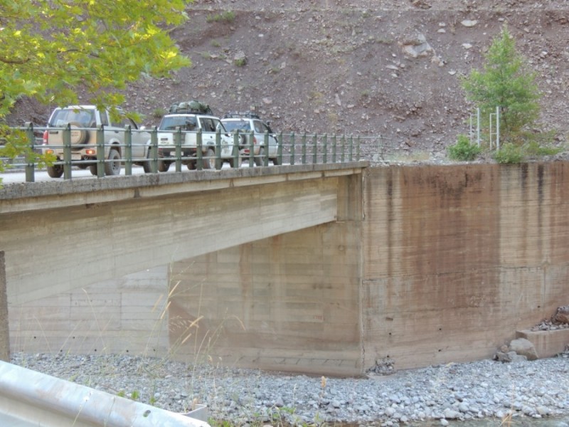 DSCN1250.jpg