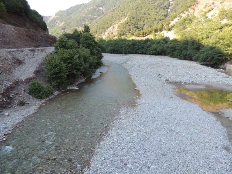DSCN1251.jpg