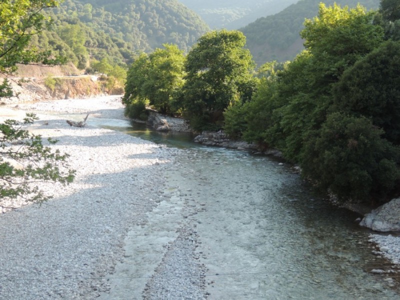DSCN1253.jpg