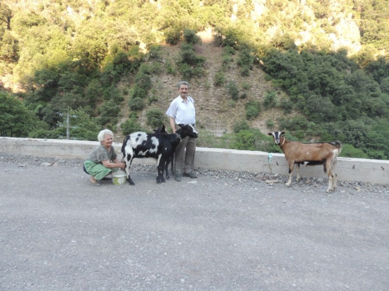 DSCN1259.jpg