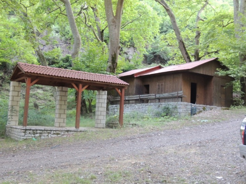 DSCN1270.jpg