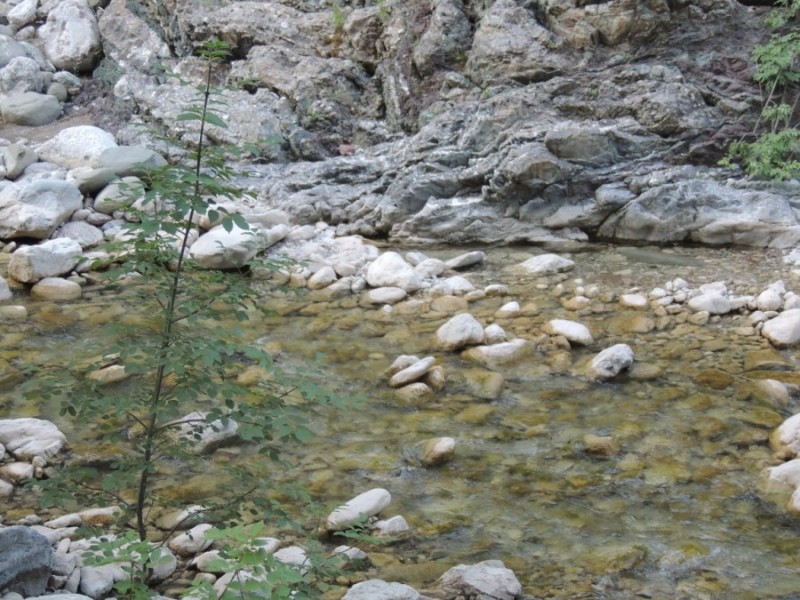 DSCN1267.jpg