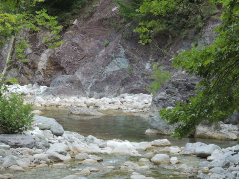 DSCN1271.jpg