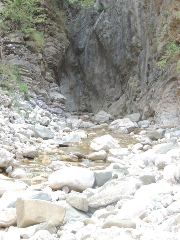 DSCN1283.jpg