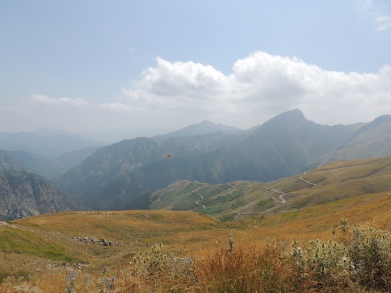 DSCN1300.jpg