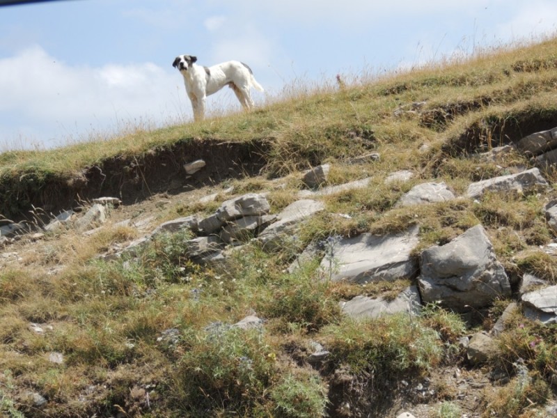 DSCN1304.jpg