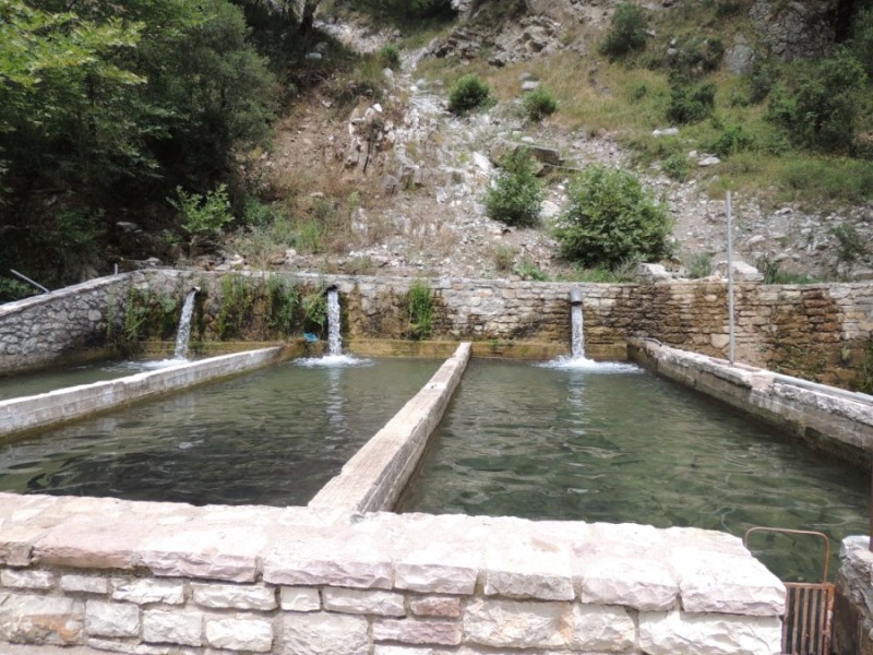 DSCN1334.jpg